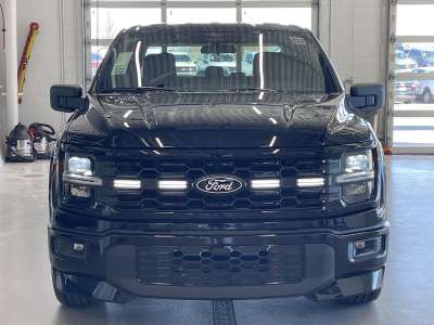 New 2026 Ford F-150 STX Crew Cab Truck for sale in Lincoln NE